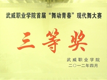 首屆“舞動青春”現代舞大賽中三等獎